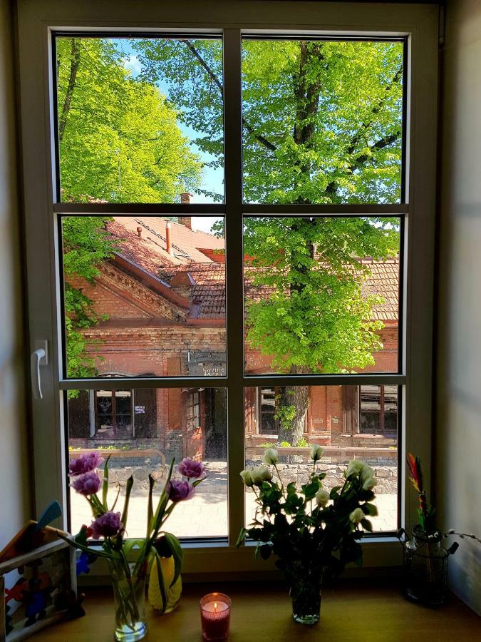 Exceptional Uzupis Bridge 3 Bedroom Apartment VNO Eksteriør billede