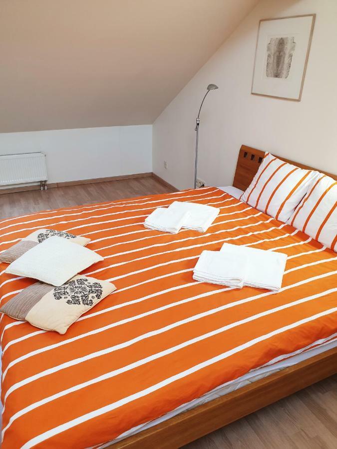 Exceptional Uzupis Bridge 3 Bedroom Apartment VNO Eksteriør billede